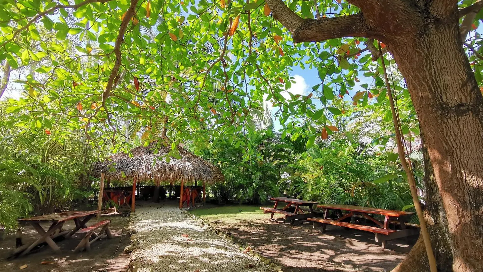 Deluxe Villas Los Corales Beach & Spa - Best Price For Vacation Rental 蓬塔卡纳 5*,  多米尼加共和国